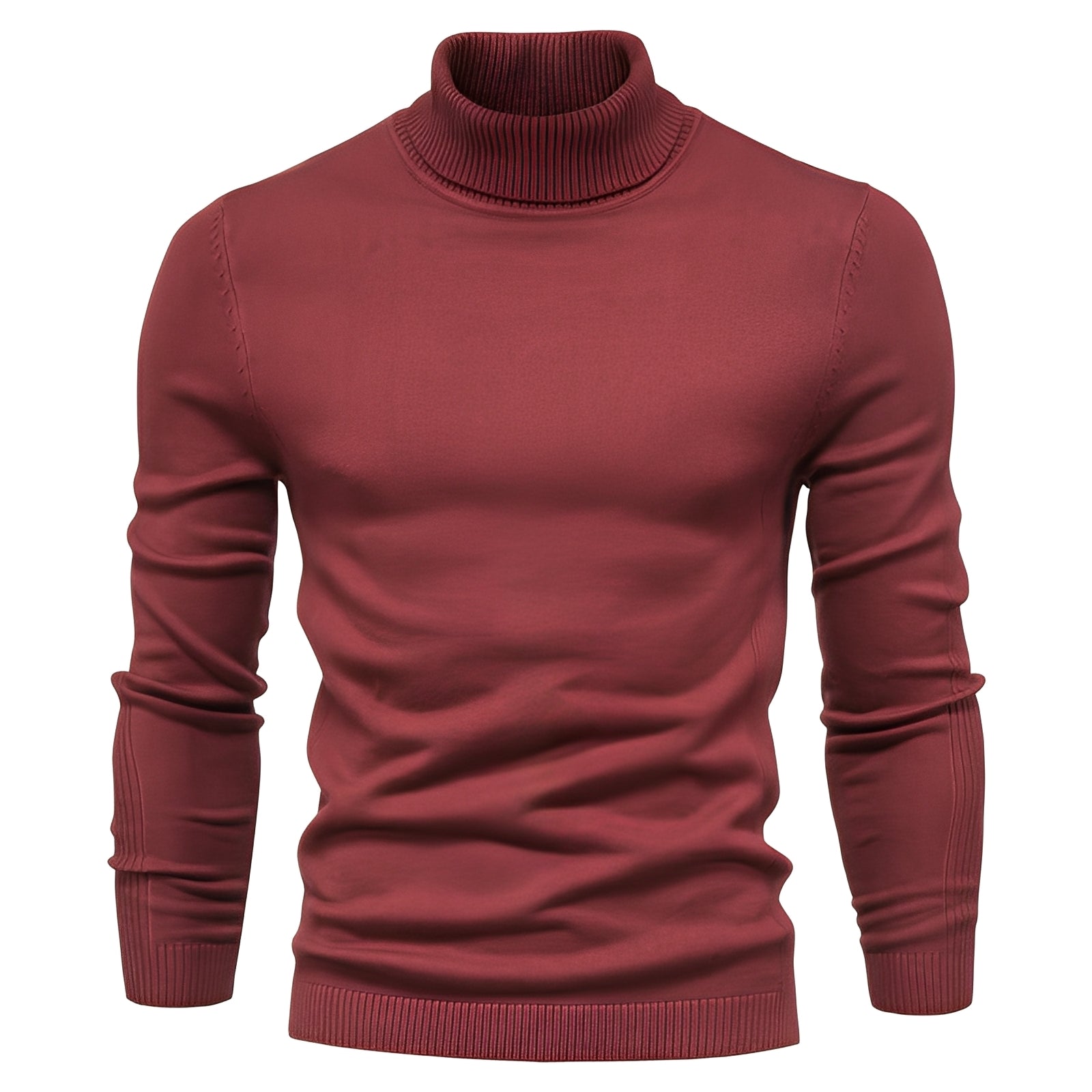 Evans - Simple, slim fit turtleneck sweater for men